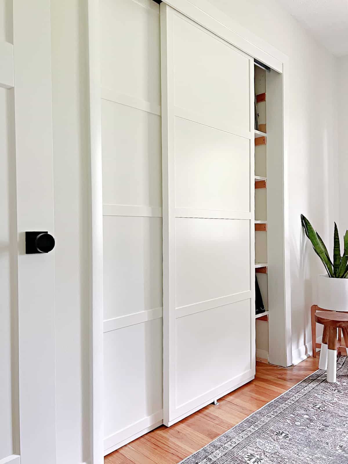 Getting an exotic closet sliding door
into your home