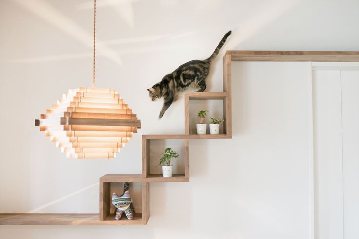 Top Decorative Cat Wall Shelves to Add
Style to Your Home