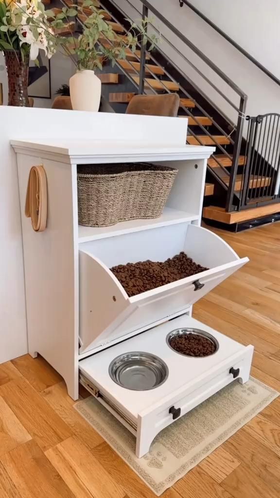 Innovative Design Ideas for Dog Furniture
That Both You and Your Pet Will Love