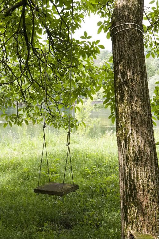 The Ultimate Guide to Outdoor Swings:
Everything You Need to Know