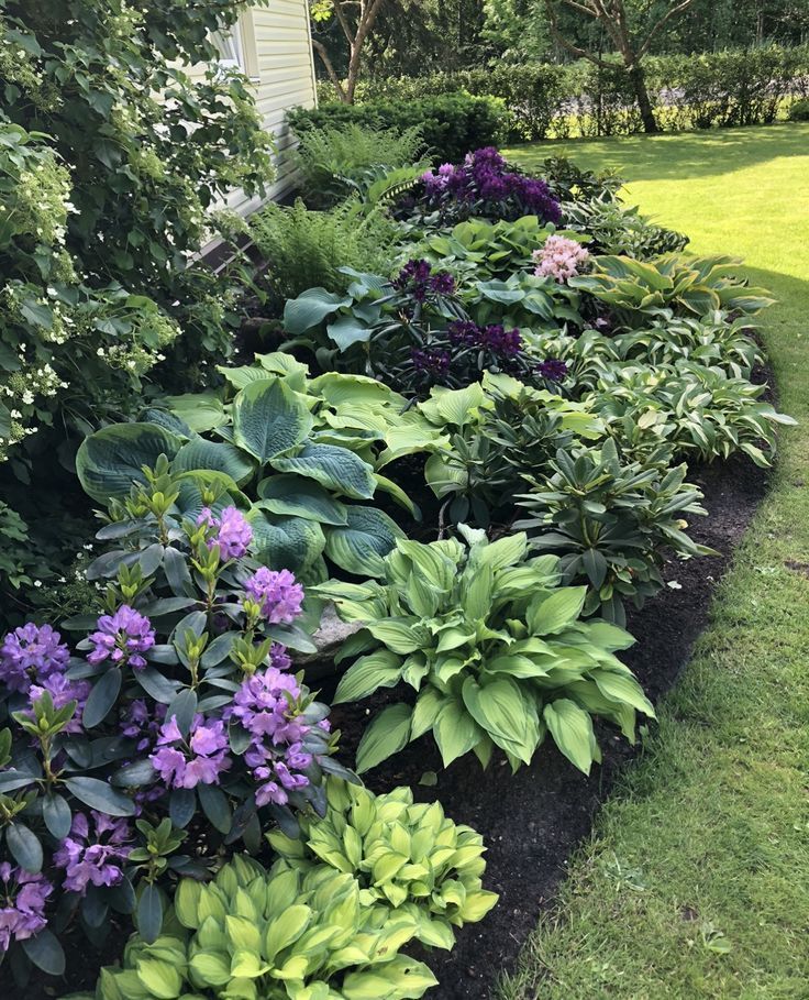 Easy Front Landscape Ideas for Beginners