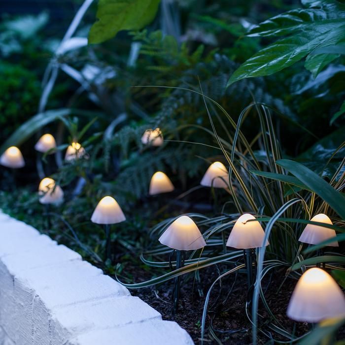 Illuminate Your Garden: Tips for Choosing
the Right Lighting