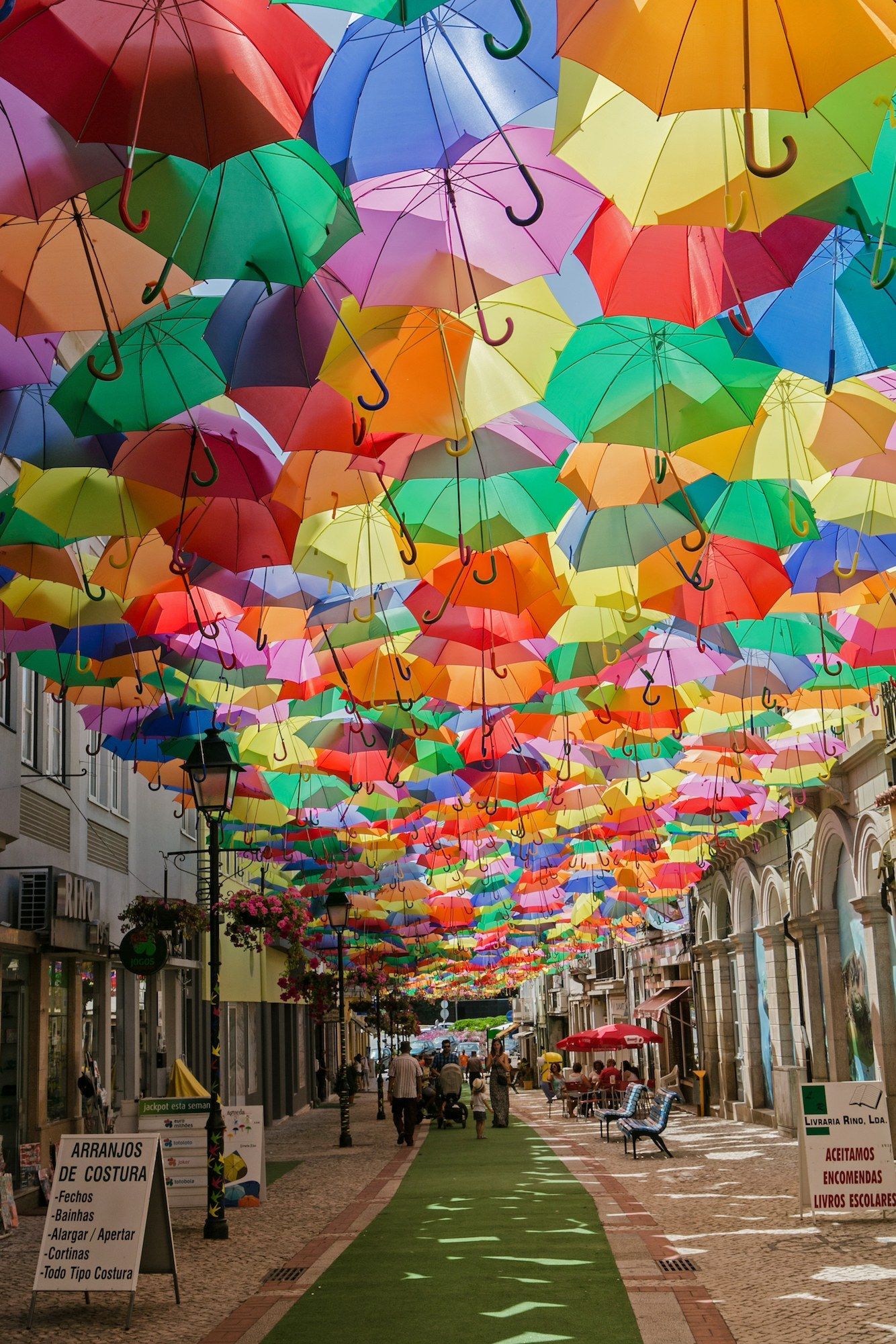 Vibrant Garden Umbrellas to Brighten Up
Your Outdoor Space