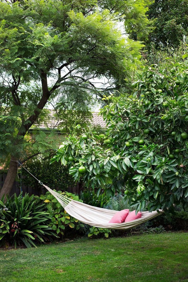 Create a Relaxing Oasis with a Garden
Swing