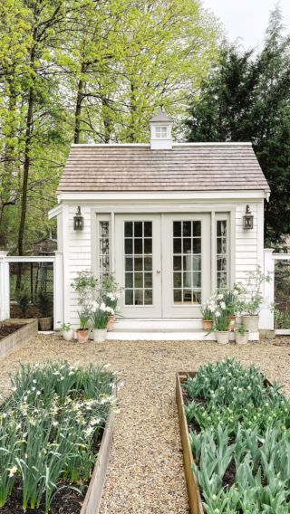 Creative Ways to Transform Your Backyard
Shed