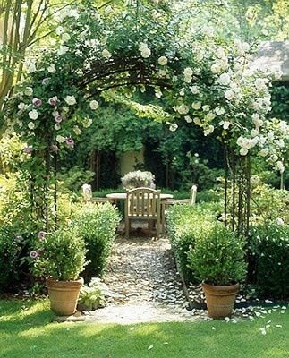 Creating a Stunning Backyard Garden
Landscape Design