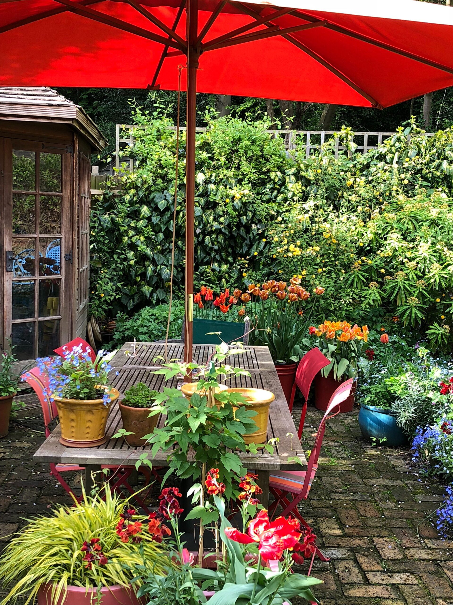 Shades to shake of your fatigue –
  Colorful Garden Umbrellas
