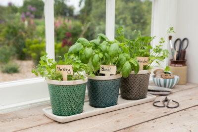 Create a herb garden⁢ on windowsills for freshness in your small kitchen